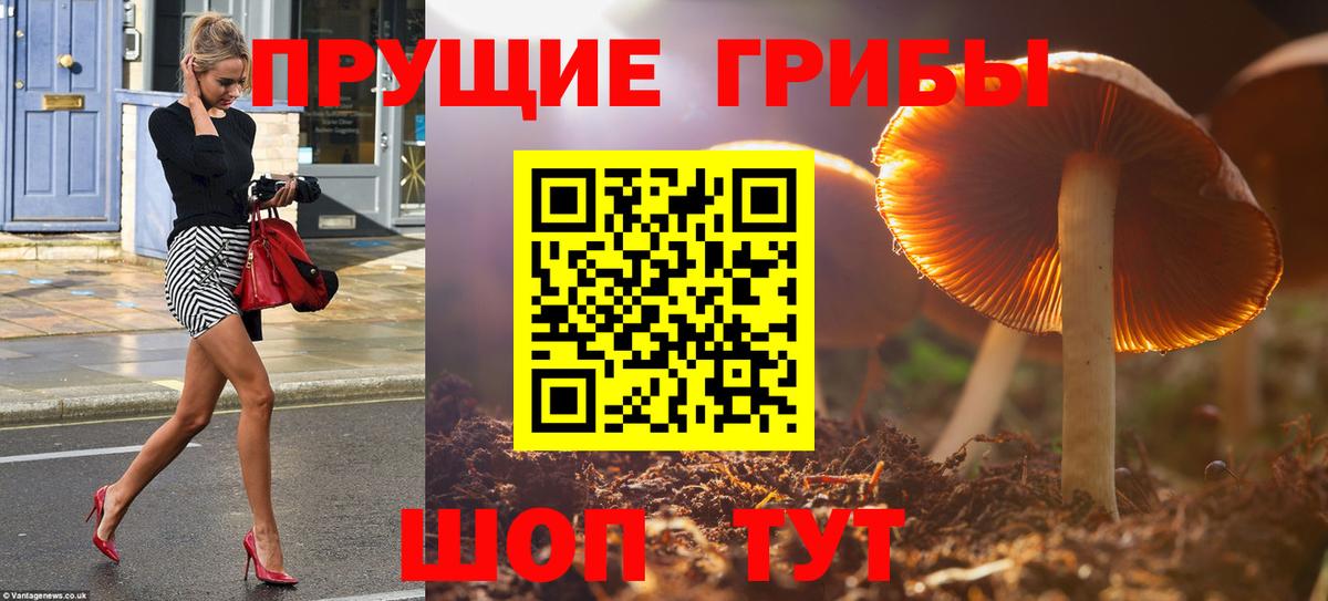 Касимов  Галлюциногенные грибы Magic Shrooms  Галлюциногенные грибы Cubensis  Вход с VPN 